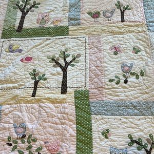 Pottery Barn Kids Full/Queen comforter, 2 Euro Shams and 2 regular shams